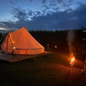 Roe Deer Meadow At Carr House Farm Luxury tent Scarborough